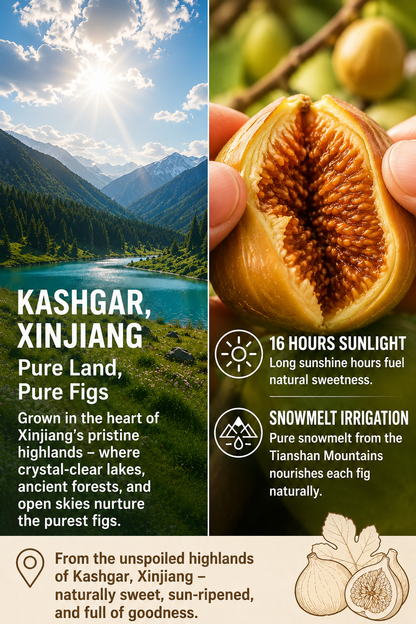 Natural Sun-Dried Figs – Sweet & Chewy Healthy Fruit Snack-TI