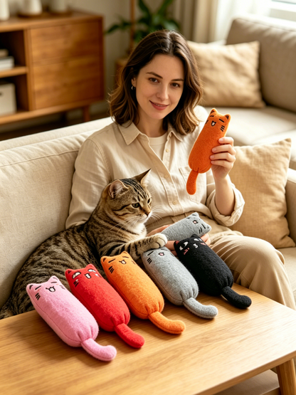 🐱 5-Pack Catnip Plush Cat Toys: The Ultimate Interactive Playtime Solution for Every Feline Friend!-LIN