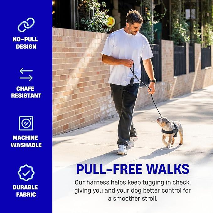 🐕No-Pull Dog Harness🐕 – Safe, Comfortable & Easy-to-Fit with Adjustable, Chafe-Resistant Straps for All Dogs-TI
