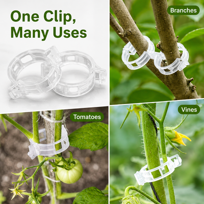 100 pieces of vine fastening clips-TI