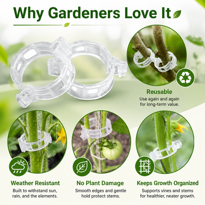100 pieces of vine fastening clips-TI