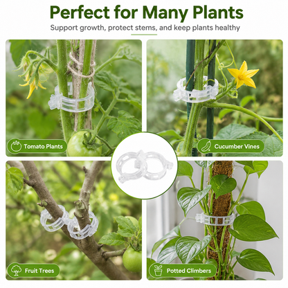 100 pieces of vine fastening clips-TI