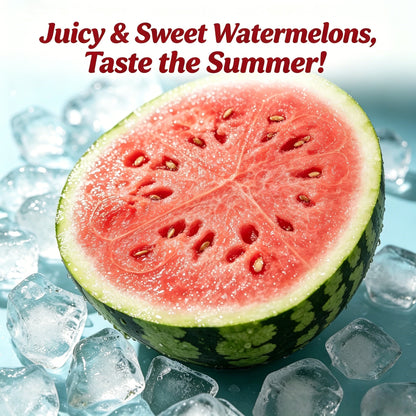 🍉Premium Watermelon Seeds🌿 - Grow Your Own Sweet Watermelons at Home | High Yield, Easy to Grow, and Fresh Harvest-LIN
