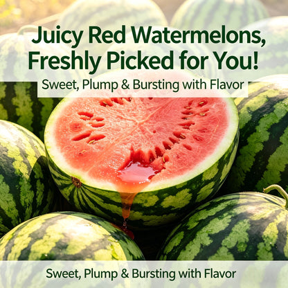🍉Premium Watermelon Seeds🌿 - Grow Your Own Sweet Watermelons at Home | High Yield, Easy to Grow, and Fresh Harvest-LIN