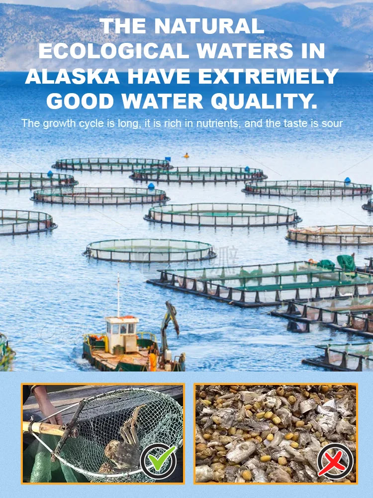Alaskan Snow Crab Ready-to-EatCrispy Crab-TI