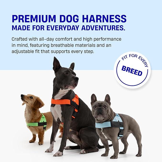 🐕No-Pull Dog Harness🐕 – Safe, Comfortable & Easy-to-Fit with Adjustable, Chafe-Resistant Straps for All Dogs-TI